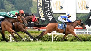 Showbeel (NZ) moves up the leaderboard in the NZB Filly of the Year Series. Photo: Race Images.